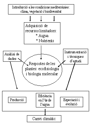 Esquema - DBPM